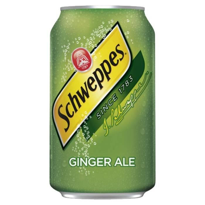 Schweppes - Schweppes Ginger Ale 33cl (pack de 24)