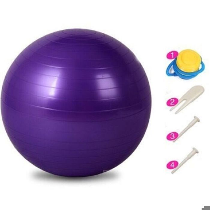 Set De Ballons De Gym 65 Cm + 25 Cm – Swiss Ball Anti-éclatement, Surface Antidérapante, Capacité 300 Kg, Pompe Incluse, Pour Pilates, Yoga, Rééducation, Bureau