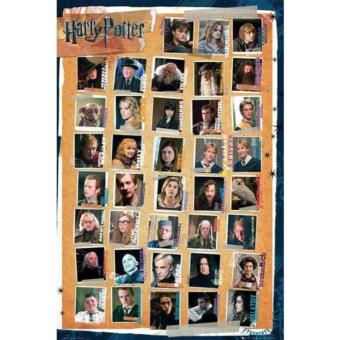 Poster les personnages Harry Potter (61 x 91.5cm) Cdiscount Maison