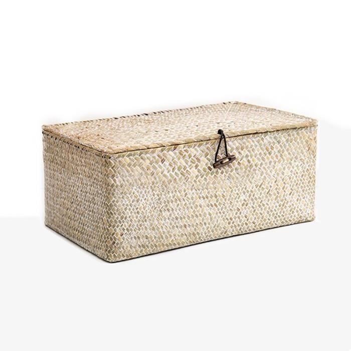 Panier à Magazines En Osier Synthétique Tissé - Avec Couvercle, Pour Rangement Salon/bureau (Taille S : 38x15x27cm)