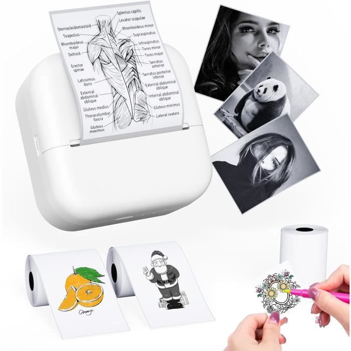Phomemo M120 Imprimante Etiquette Thermique Bluetooth sans Fil pour