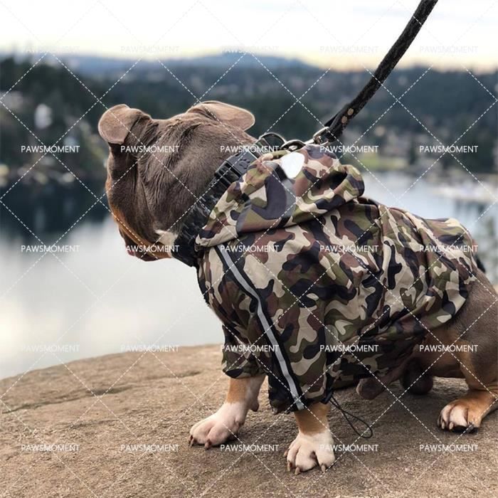 Impermeable bouledogue francais on sale