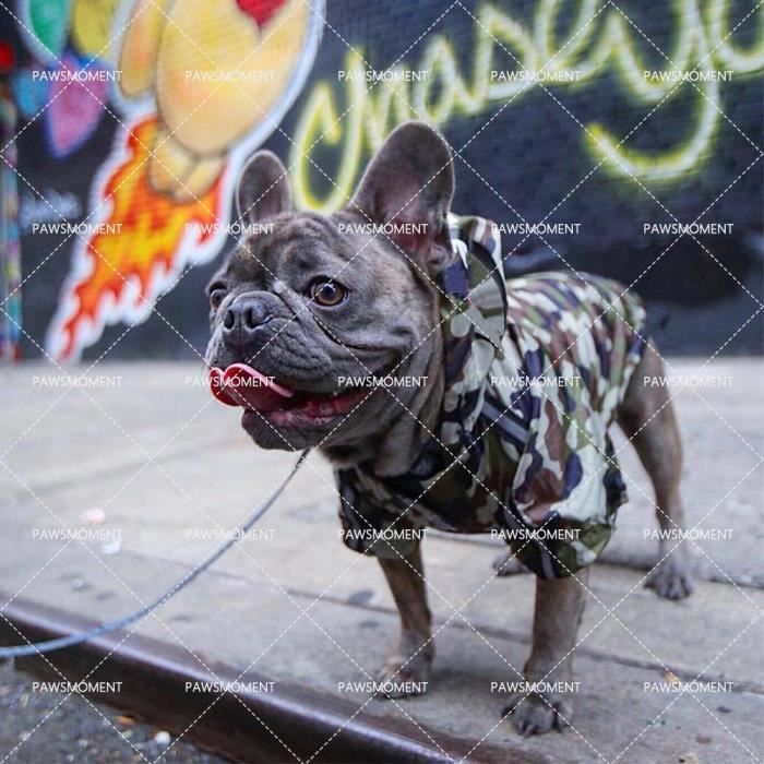 Manteau Bouledogue fran ais Camouflage imperm able chien v tements