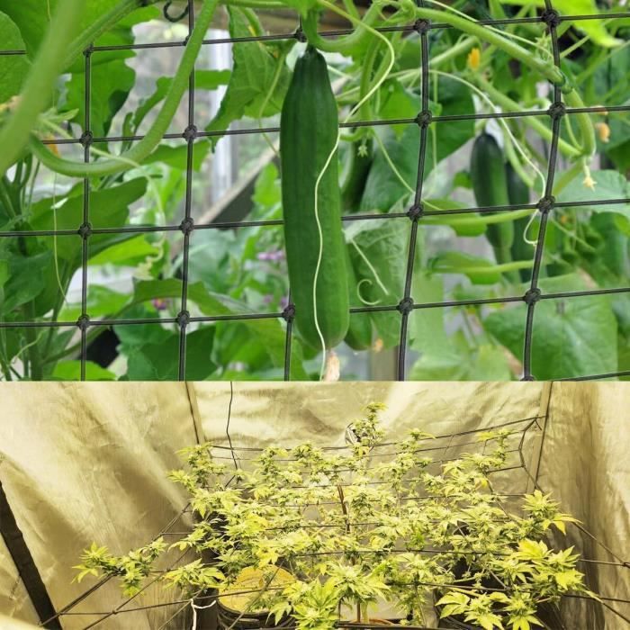Filet De Support Pour Plantes Grimpantes - 120 X 120 Cm (Extensible) - Latex Et Nylon - Avec 4 Crochets Et 100 Attaches - Jardin, Balcon