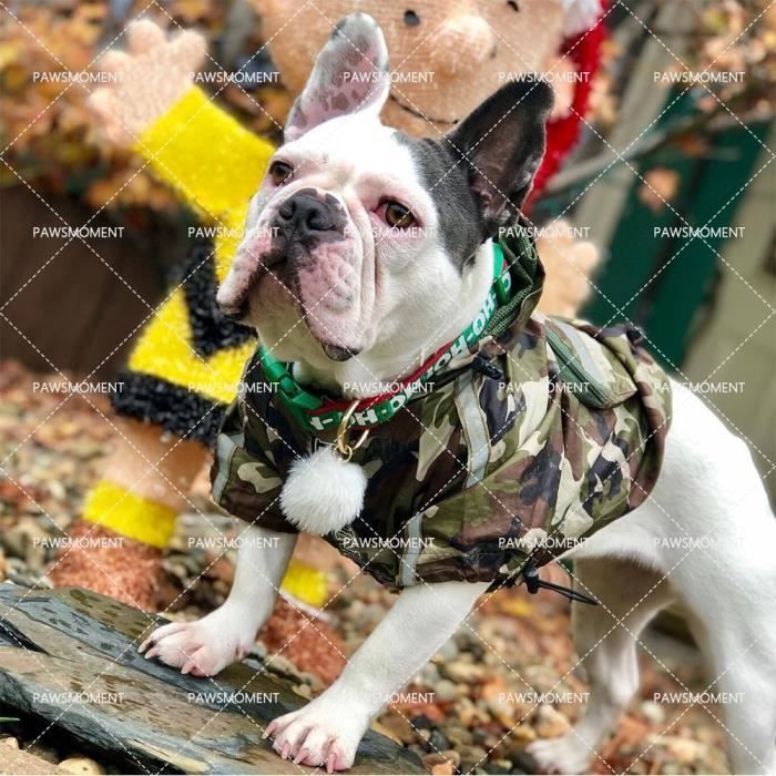 Impermeable bouledogue francais shop