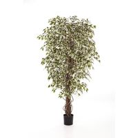 Ficus artificiel DAKU, 985 feuilles blanc - vert et troncs naturels, 90 cm - Plante artificielle - Ficus synthétique - artplants
