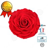 CONFO® Fleur éternelle simple 6-7cm cadeau de fleur de tête de rose cadeau de saint valentin rose rouge fleur éternelle cadeau de fl