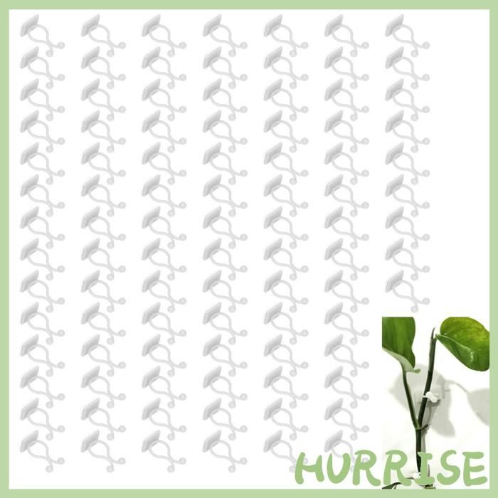 Garosa Fixation murale pour plantes grimpantes 100 PCS Plante Escalade Mur Fixation Mur Vignes Clip De jardin moteur