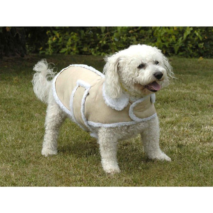 Manteau pour chien grands froids - Beige - 46 cm X 24 cm X 2 cm - Astuceo - Beige