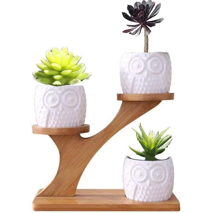 Pot De Fleurs Rond En Céramique Blanche, Jardinière Succulente