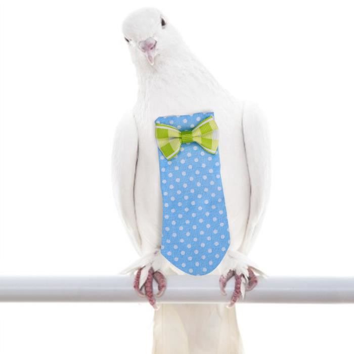 HURRISE Couche d'oiseaux Costume de vol de couche-culotte d'oiseaux perroquet Pigeon perroquet réutilisable (bleu S)