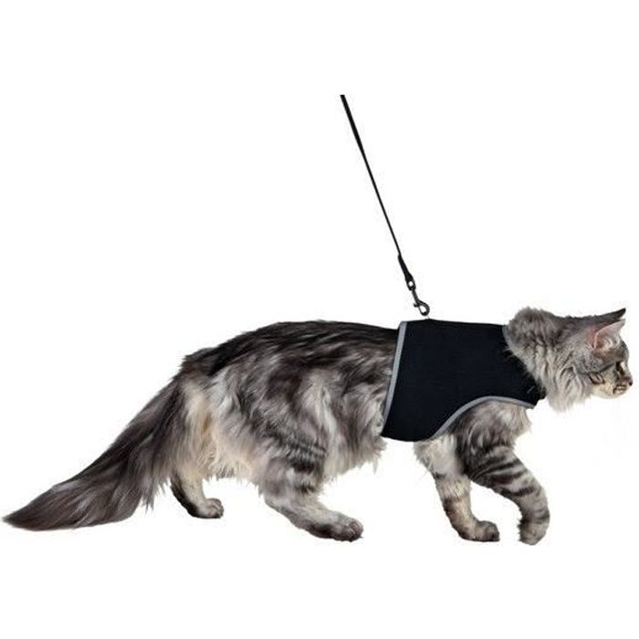 Harnais avec laisse - TRIXIE - Nylon résistant - Taille réglable - Confortable pour chats Harnais avec laisse - TRIXIE - Nylon résistant - Taille réglable - Confortable pour chats