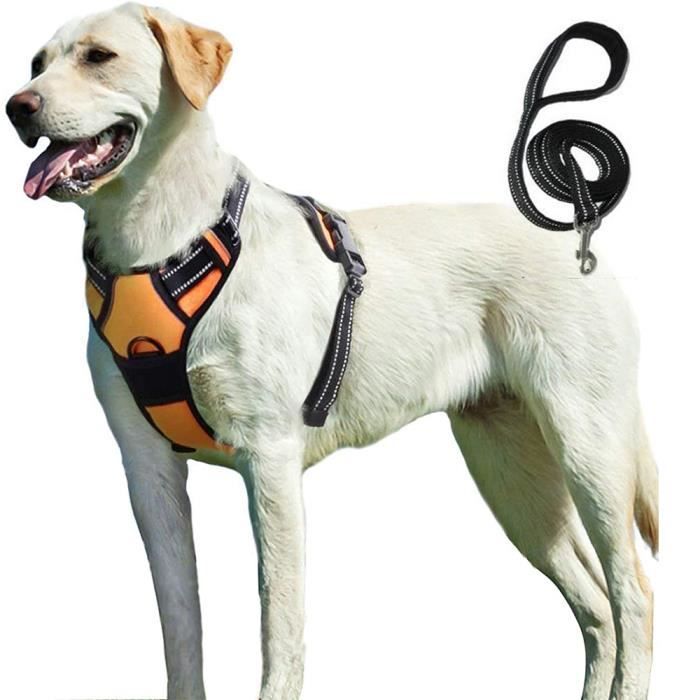 Comparer les prix de YOLISTAR Harnais Chien M, Harnais Anti Traction pour Chien, Facile à Mettre, avec Poignée Contrôle, Livré avec une corde de 1,5