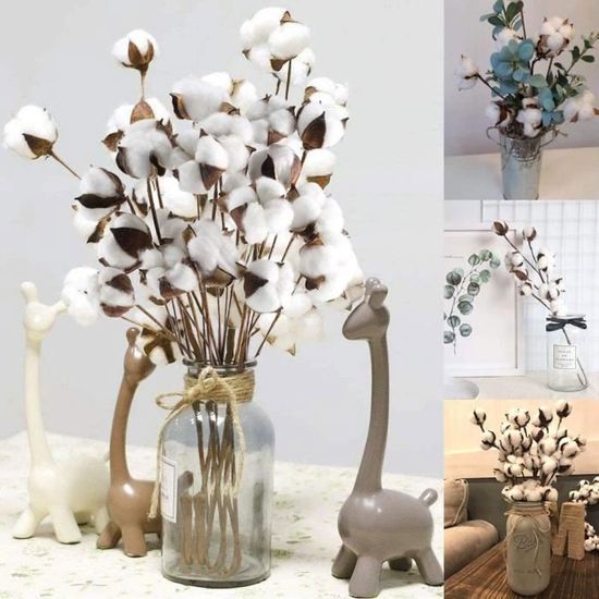 10 Branches De Coton Décoratif KARELLS - Fleurs Séchées Artificielles Blanc, 33cm Pour Décoration Intérieure