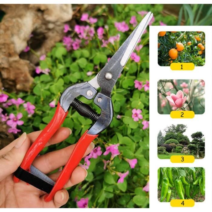 Sécateur De Précision Housolution Rose - Ciseaux Greffage Acier SK5 Pour Jardin Et Fleurs