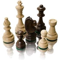Professional Staunton n ° 6, pièces d'échecs en Bois pondérées dans Une boîte élégante, Figurines d'échecs de Tournoi, Roi 98mm