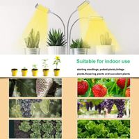 LED Lampe de Plante - Lampe de Croissance Horticole