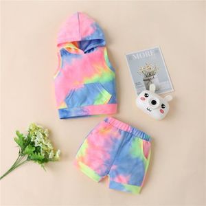 Pull Bebe Fille 12mois Cdiscount