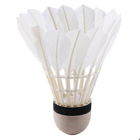 Binnan 4 Pièces Volants Badminton LED Lumineux - Shuttlecocks LED Pour Jeu Nuit Intérieur Extérieur, Super Durables Avec 4 Couleurs