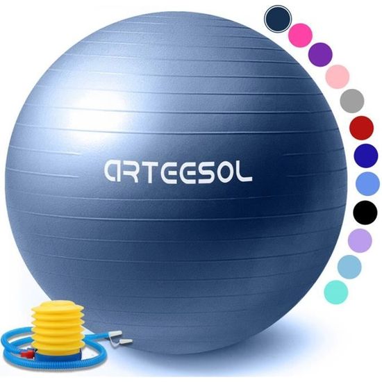 arteesol Ballon Fitness, Swiss Ball, Ballon Grossesse, Ballon Gym Ball Yoga Ballon d'exercice Balle avec Pompe Antidérapant 65cm