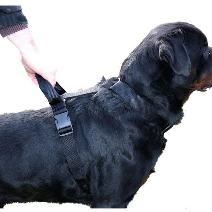 Martin-Sellier - Harnais avec poignée d'intervention pour chien - nylon (90-110cm x 40mm) 419334