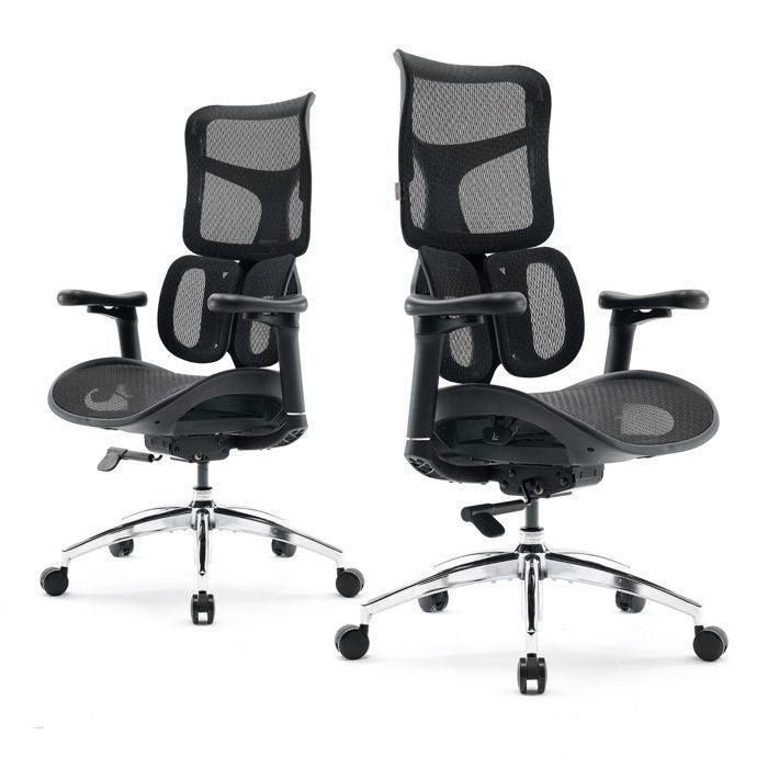 SIHOO Doro S100 Chaise de Bureau Ergonomique avec Un Soutien Lombaire Dynamique Double Dossier réglable sur 5 Niveaux Noir