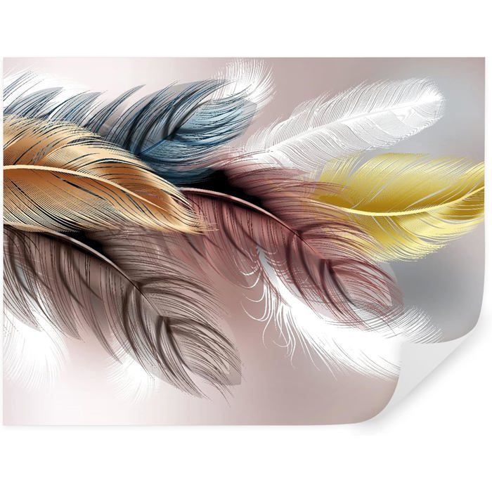Papier Peint Panoramique 3D Plumes Colorées – Autoadhésif – Magasin Ou Salon