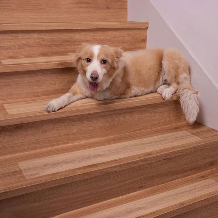 Tapis de Marche Tapis Antidérapant Transparent Anti Derapant Tapis Escalier-
