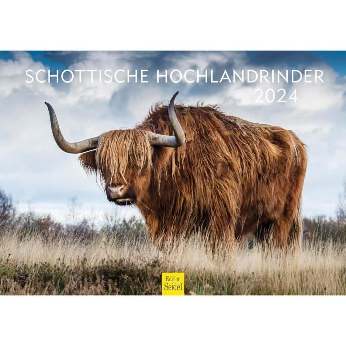 Support De Batteries Milwaukee M18 18V – Rangement Mural