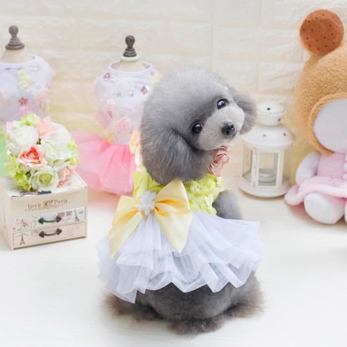 Chien Bebe Adorable Jupe Chiot Vetements Pour Petits Animaux De Compagnie Ye Xl Cllyexl 3780 Cdiscount Chien Bebe Adorable Jupe Chiot Vetements Pour Petits Animaux De Compagnie Ye Xl Cllyexl 3780 Cdiscount