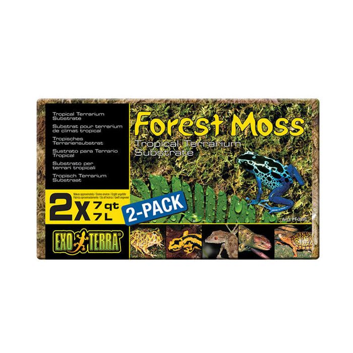 Exo Terra Mousse de forêt 7L