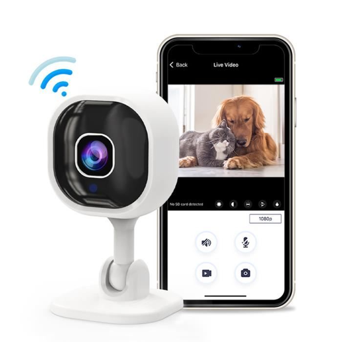 Caméra De Surveillance WiFi Intérieure Blink Mini 1080P - Vision Nocturne