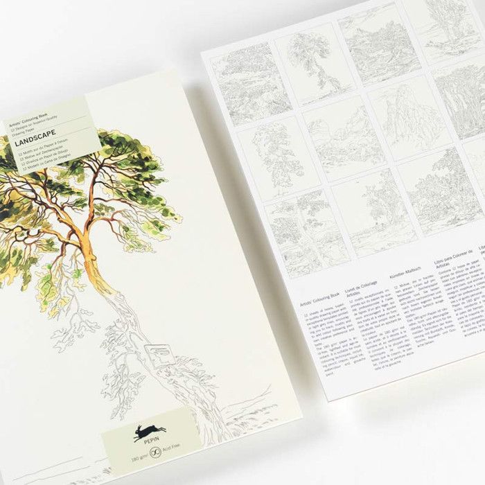 Livre de peinture aquarelle, D, jeu de peinture à thème oiseau 12 couleurs pour débutants on