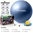 arteesol Ballon Fitness, Swiss Ball, Ballon Grossesse, Ballon Gym Ball Yoga Ballon d'exercice Balle avec Pompe Antidérapant 65cm-2