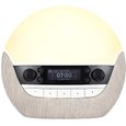 Lumie Bodyclock Luxe - 700FM Réveil Lumie avec FM Radio Enceinte Bluetooth Lumière Bleu Faible pour Sommeil NBCLE-F700-0