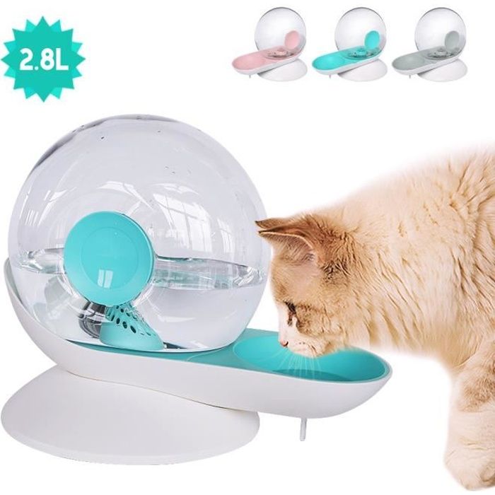 Automatique Chat Aleatoire