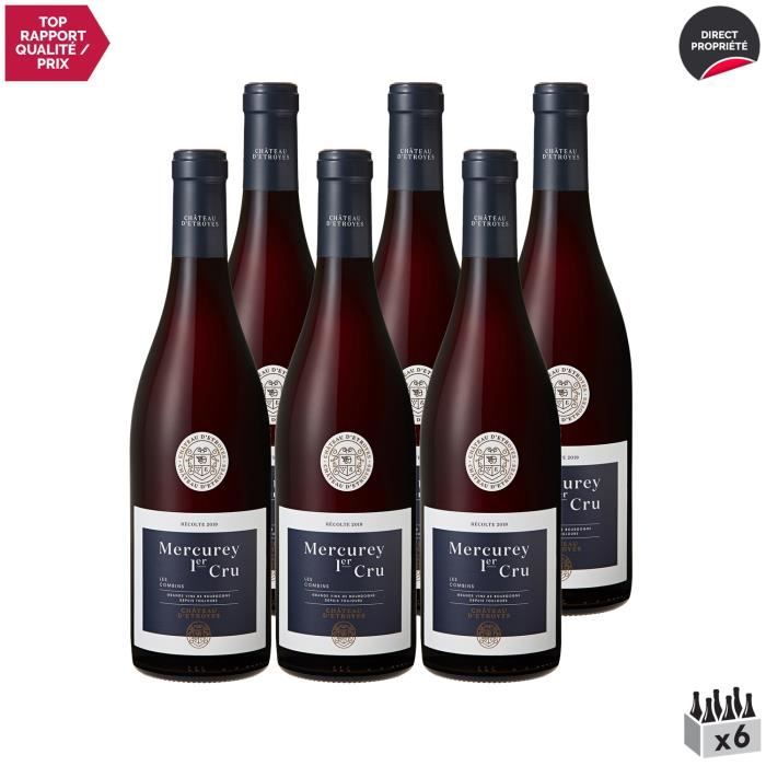 Mercurey 1er cru Les Combins Rouge 2019 - Lot de 6x75cl - Château d'Etroyes - Vin AOC Rouge de Bourgogne - Cépage Pinot Noir