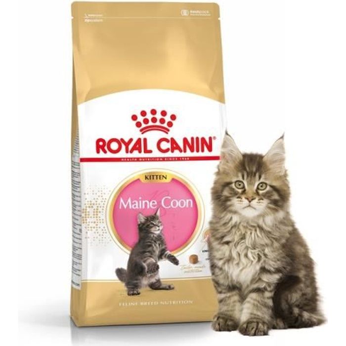 Croquettes pour chats Royal Canin Kitten Maine ...