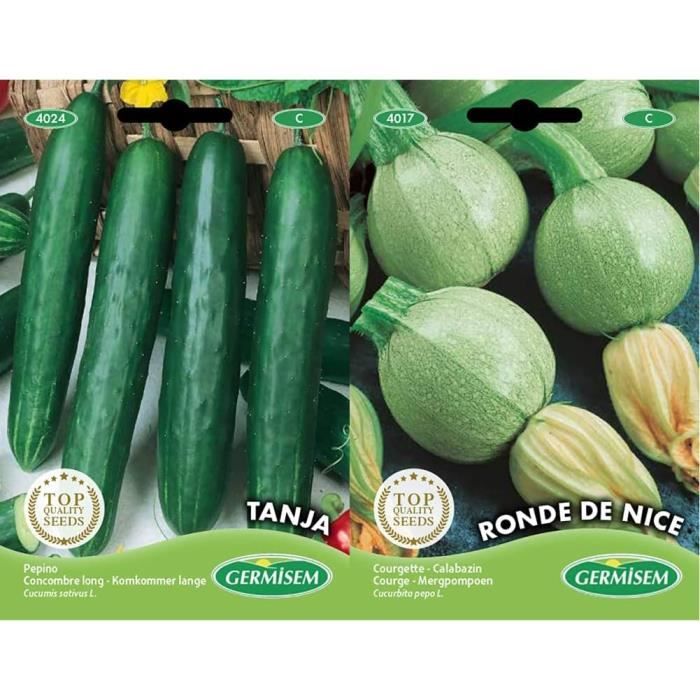 Courge Musquée Longue de Nice - Marthe 🍑 Livraison Gratuite