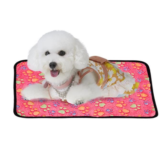 Pet Mat Petit Grand Patte D Os Patte Chat Chien Chiot Coussin Polaire Douce Lit Qyyxl Achat Vente Couverture Animaux Pet Mat Petit Grand Patte Cdiscount Pet Mat Petit Grand Patte D Os Patte Chat Chien Chiot Coussin Polaire Douce Lit Qyyxl Achat Vente Couverture Animaux Pet Mat Petit Grand Patte Cdiscount