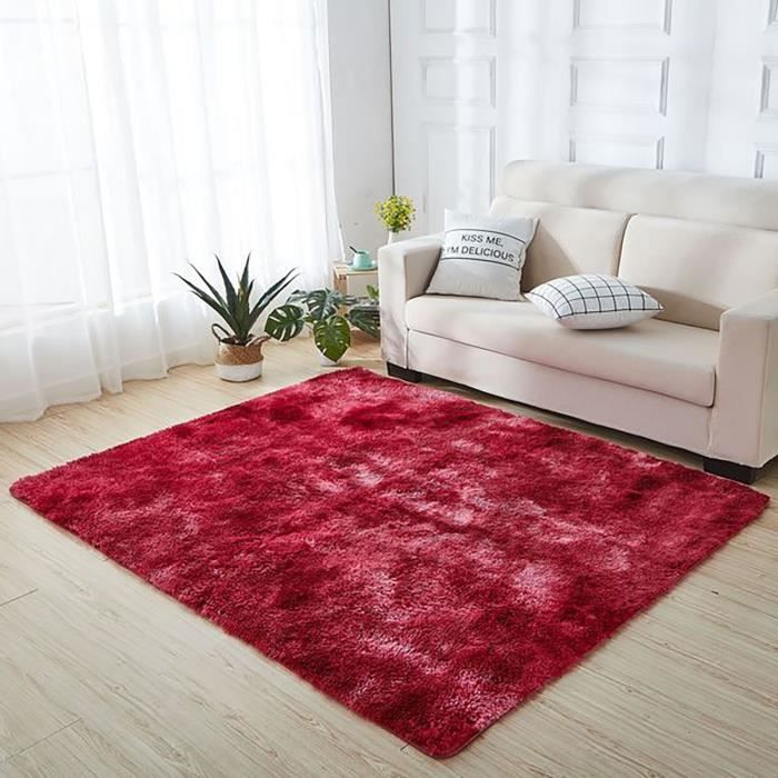 Tapis de Salon Moderne Tapis de décoration de Chambre à Coucher Extra