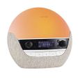 Lumie Bodyclock Luxe - 700FM Réveil Lumie avec FM Radio Enceinte Bluetooth Lumière Bleu Faible pour Sommeil NBCLE-F700-1