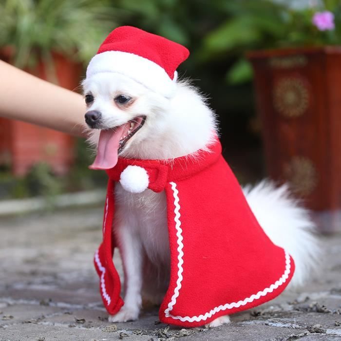 Manteau sales chien noel