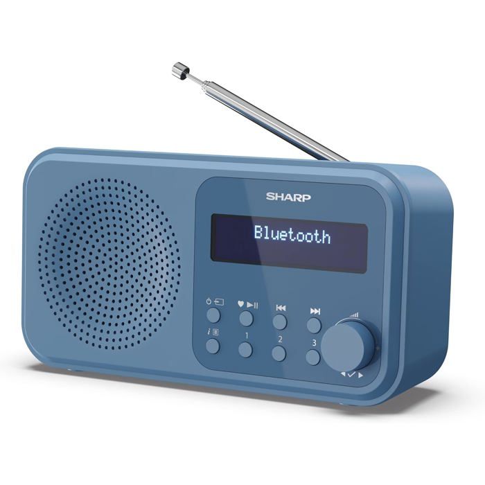 DR430 Radio numérique Portable (Dab-Dab+-FM avec RDS, Bluetooth 5.0