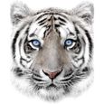 Couverture Plaid polaire très doux Tigre blanc - 120 x 150 cm-0