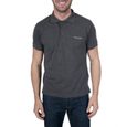 Polo Pierre Cardin homme - Anthracite-0