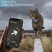 Le collier pour chat, chien et oiseau peut ajouter un localisateur pour éviter la perte du collier de suivi