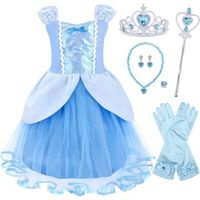 Déguisement Princesse Cendrillon pour Fille Enfants Carnaval Pâques Cosplay - AMZBARLEY - Bleu