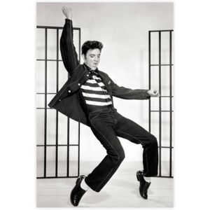 OBJET DÉCORATION MURALE Impression sur toile Elvis Presley 4 - Style sans 