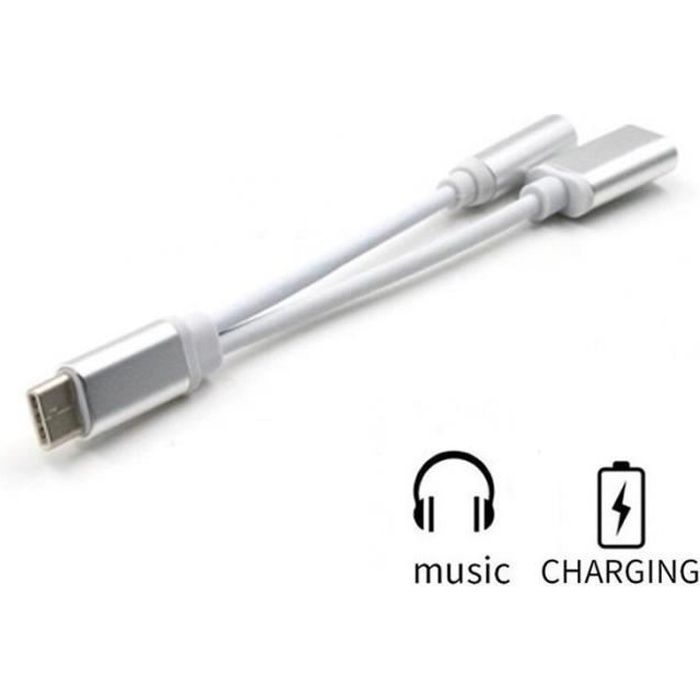 USB C Charge & Music – Câble 2 en 1 prise jack casque audio pour USB type C – Gris - Straße Tech